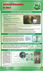Орієнтування в лісі. Лісове господарство. 0,6х1,0