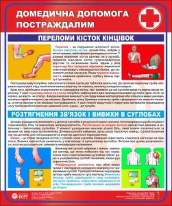 Переломи кісток кінцівок. Розтягнення зв’язок і вивихи у суглобах. Домедична допомога постраждалим.0,5х0,6